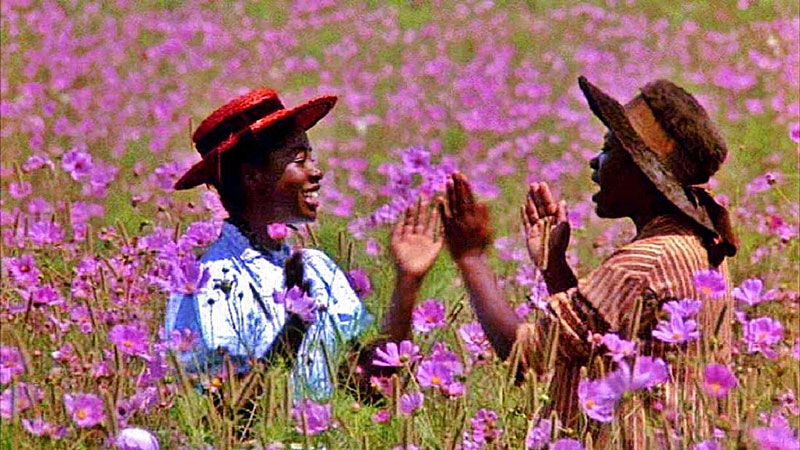 Alice Walker, Il colore viola